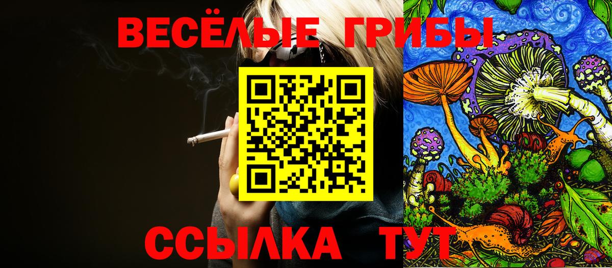Бирск  Псилоцибиновые грибы Psilocybe  Вход с VPN  Псилоцибиновые грибы Cubensis 